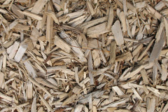 biomass boilers Griston